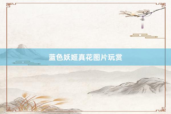 蓝色妖姬真花图片玩赏