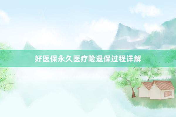 好医保永久医疗险退保过程详解