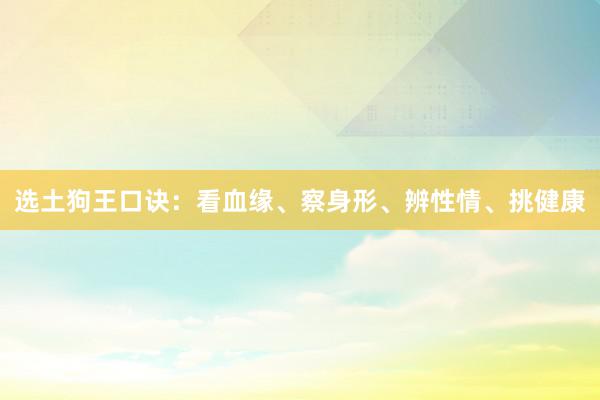 选土狗王口诀：看血缘、察身形、辨性情、挑健康