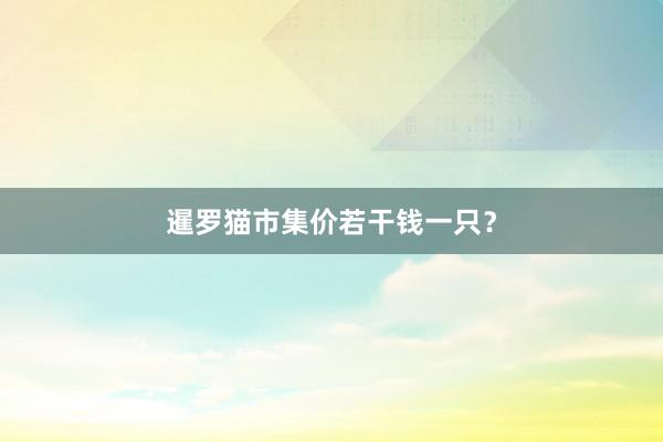 暹罗猫市集价若干钱一只？